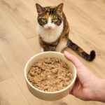 Die besten Produkte für Katzenfutter Mönchengladbach